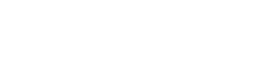 Latinem Pvt Ltd