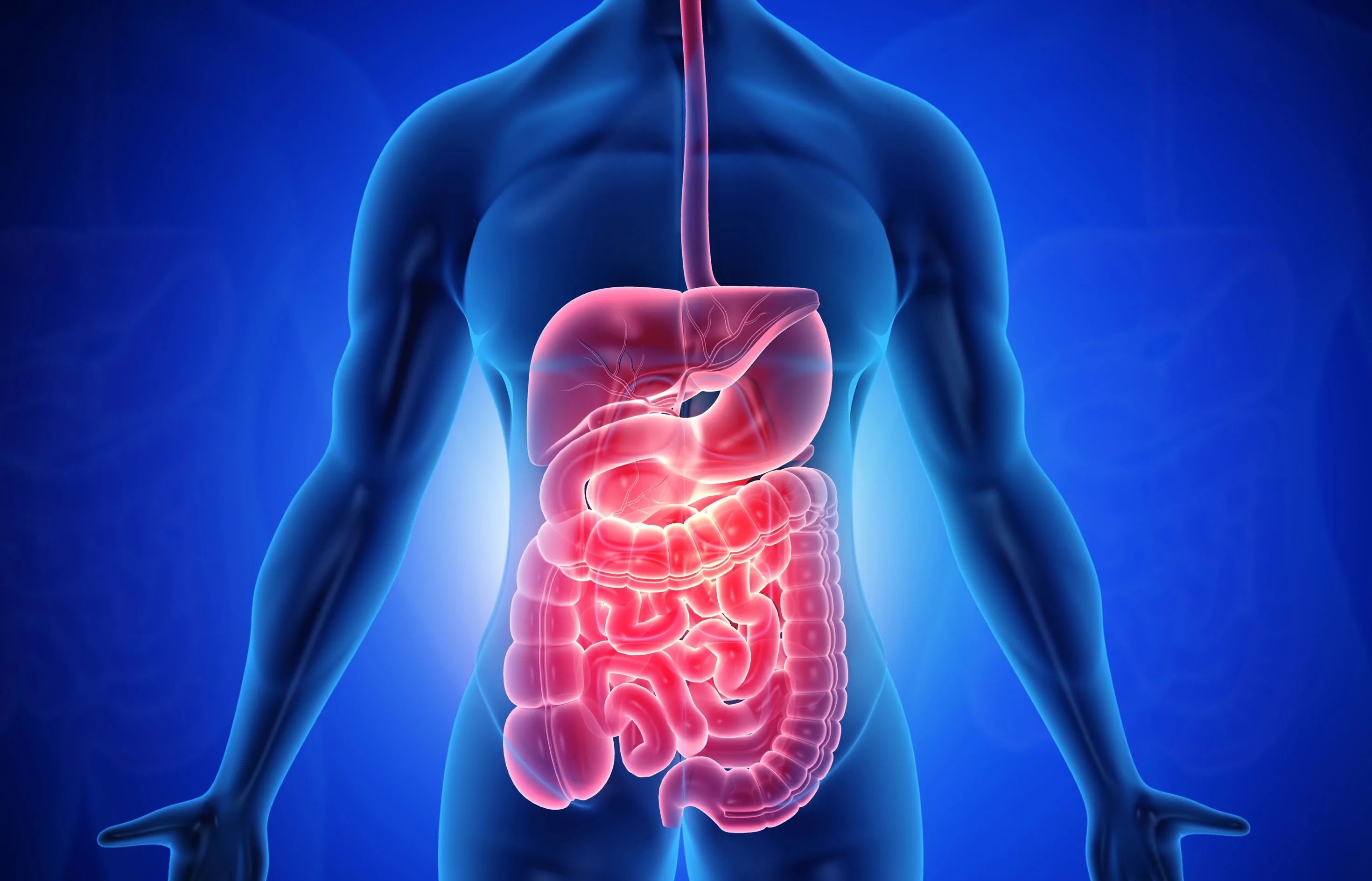 Explain the Surgical Procedures associated with the Gastrointestinal and Urinary Systems