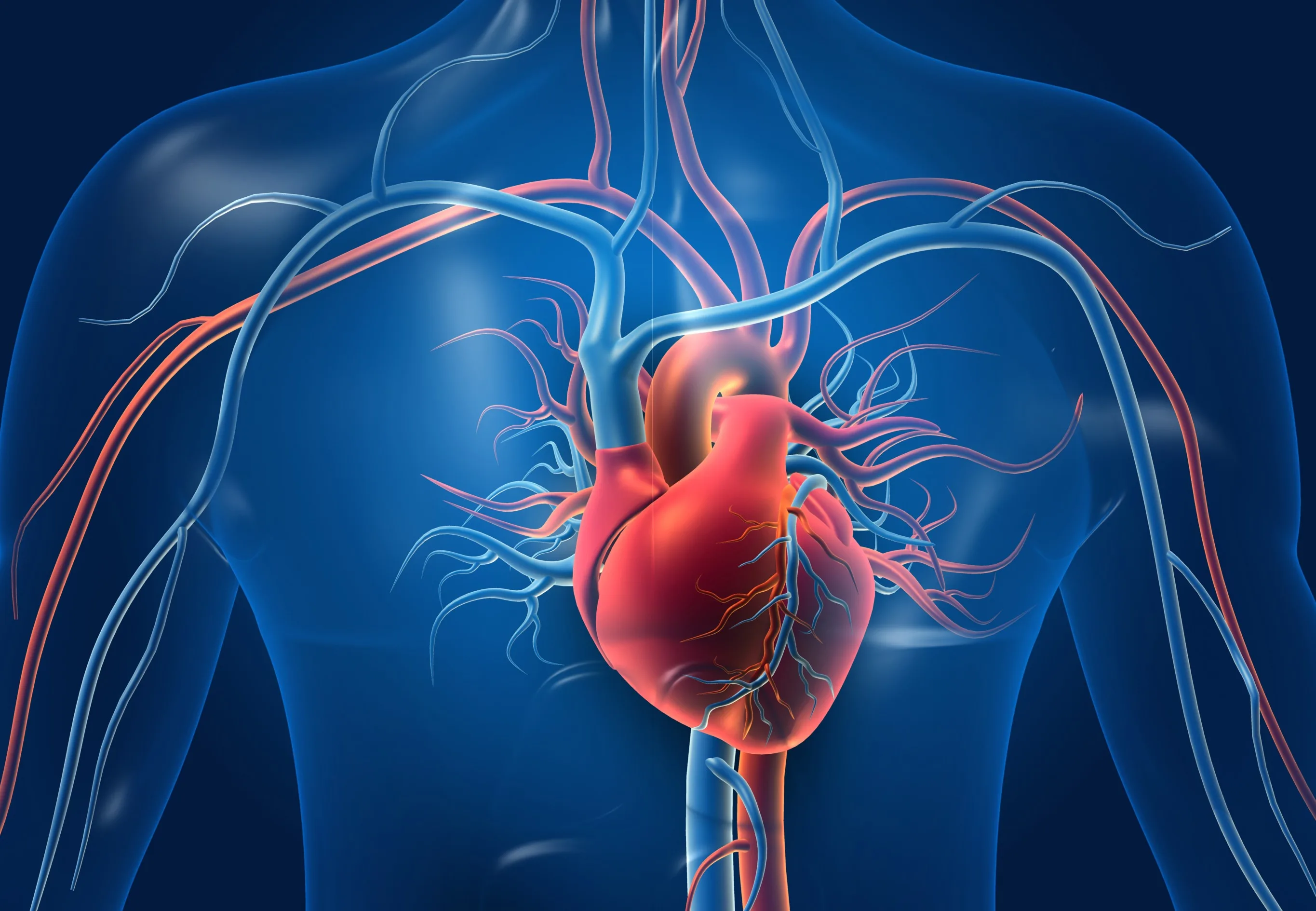 Brief Two Surgical Procedures associated with the Cardiovascular and Nervous System