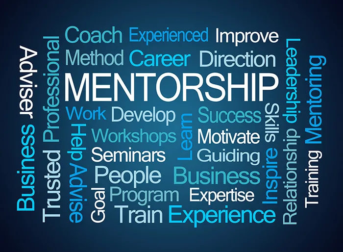 mentorship programs