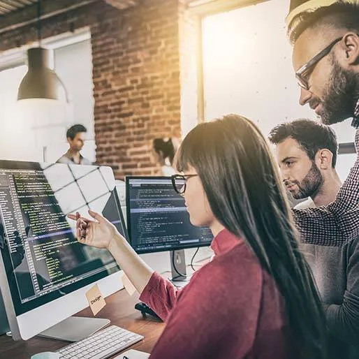 Software Developers career