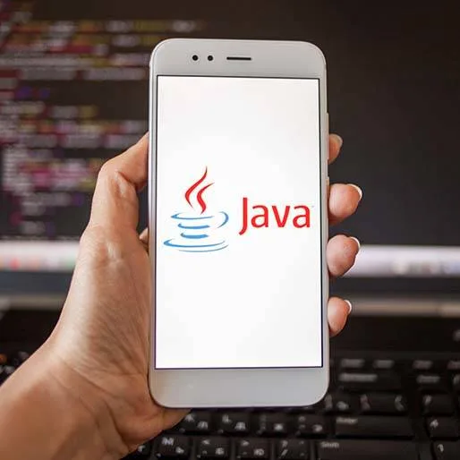Tips for a successful career in Java