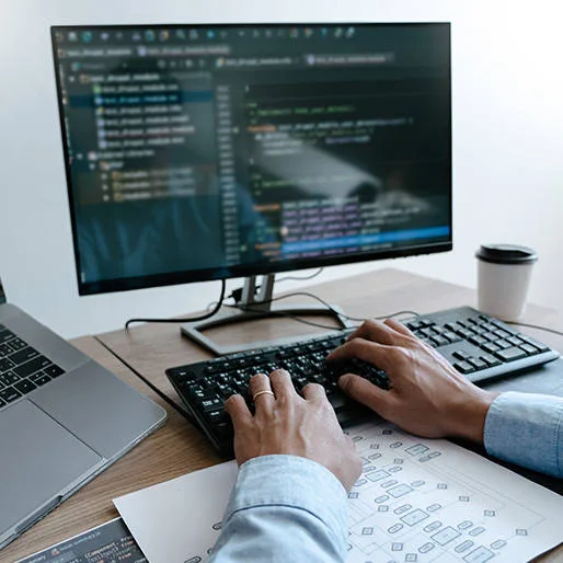 what is the role of SQL developer