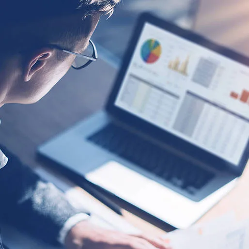 Data Analyst