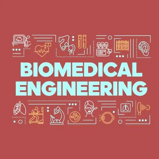 ob and Career Opportunities in The Biomedical Engineering Field