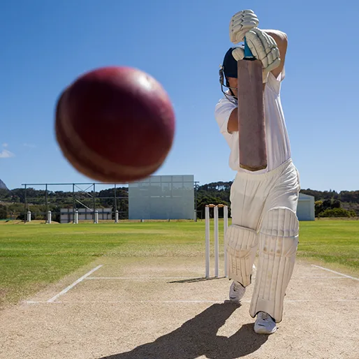 technology in cricket