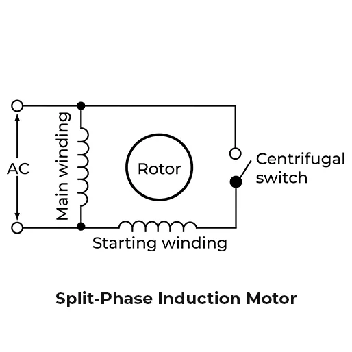 Split-Phase Induction Motor