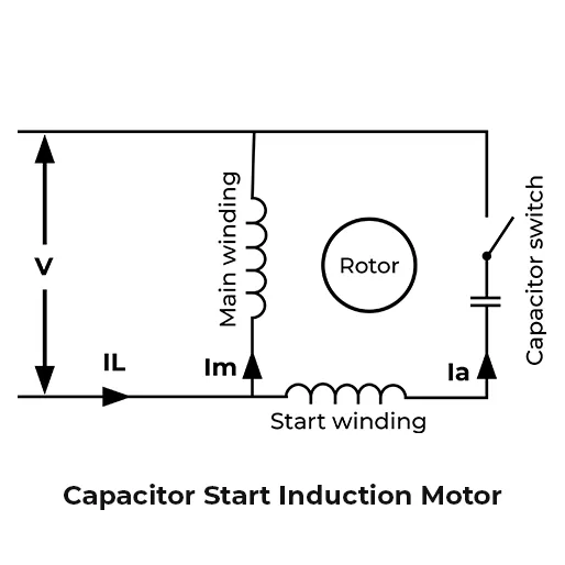 Capacitor Start Induction Motor
