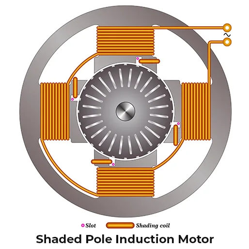 Shaded Pole Induction Motor