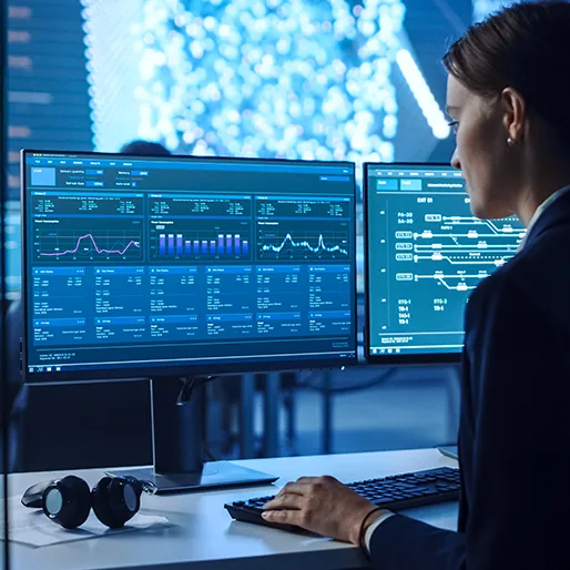 Programming Languages for a Data Scientist