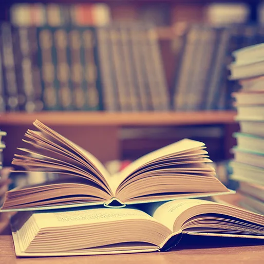 Data Science and Business Analytics Books