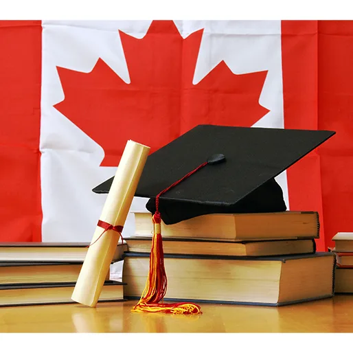 Scholarship Provisions by Computer Science