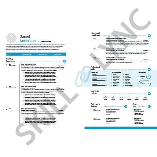Examples of Effective Resumes