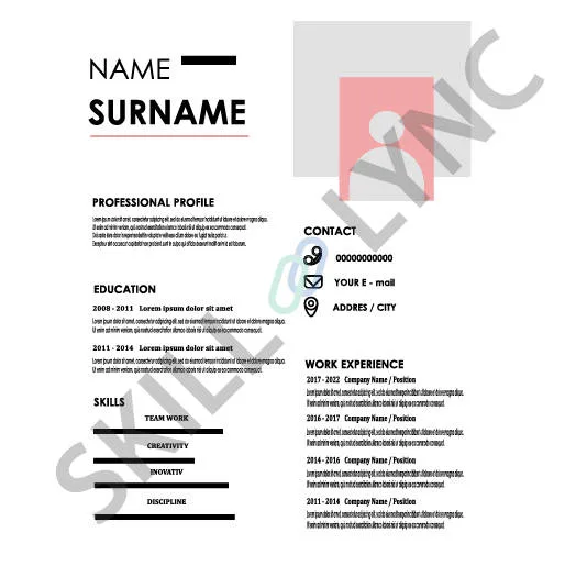 Examples of Effective Resumes 2