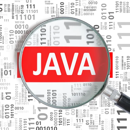 Job Prospects of a Java Developer