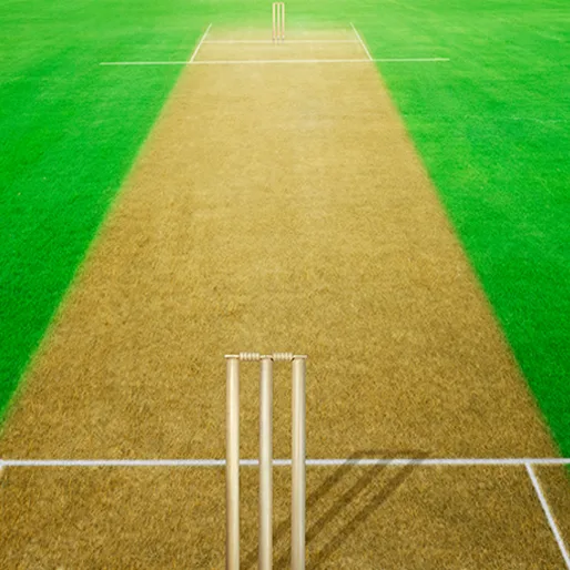 Future of Technology in Cricket