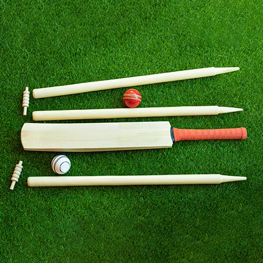 LED Stumps and Bails in Cricket