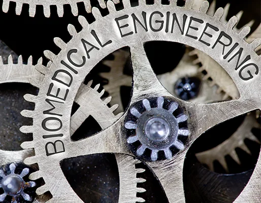 biomedical engineering