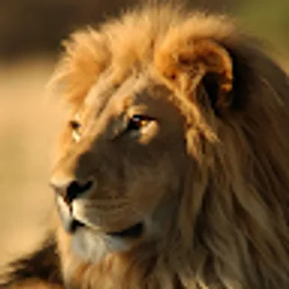 Pavan Jagdale