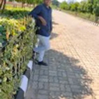 Naveen Veluru