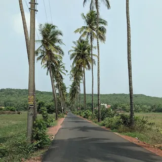 Anubhav Anubhav