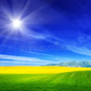 Vinay S