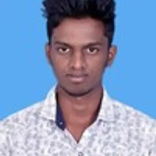 Narayanan V